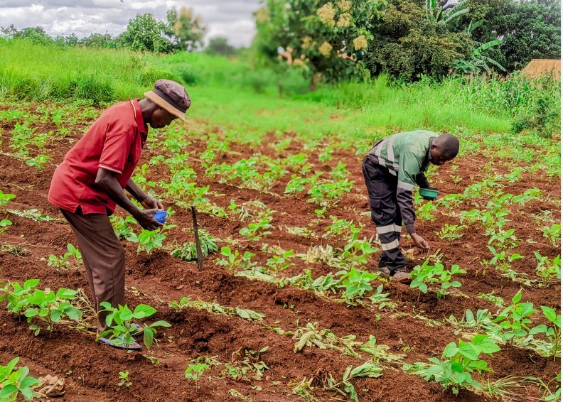 Sustainable Farming